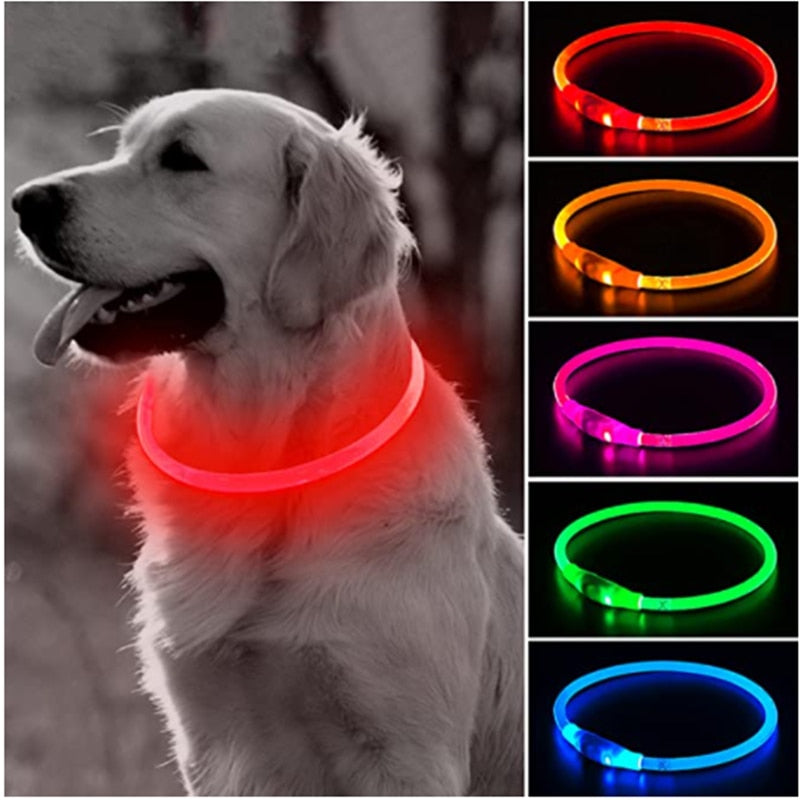 Coleira Com Luz Led Para Pets - Carregamento USB